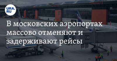 В московских аэропортах массово отменяют и задерживают рейсы - ura.news - Россия - Московская обл.