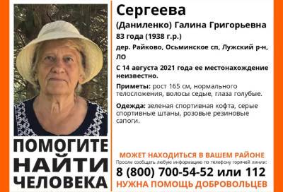 В Ленобласти ищут 83-летнюю жительницу деревни Райково - online47.ru - Ленинградская обл.