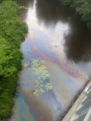 В Сосновом Бору местные жители заподозрили слив нефтеотходов в реку Коваши — фото - ivbg.ru - Украина - Ленобласть