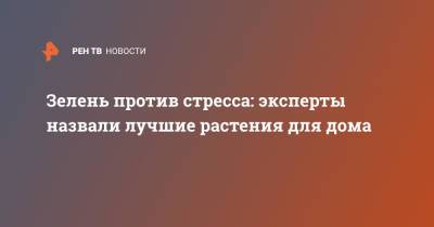 Зелень против стресса: эксперты назвали лучшие растения для дома - ren.tv - Лондон