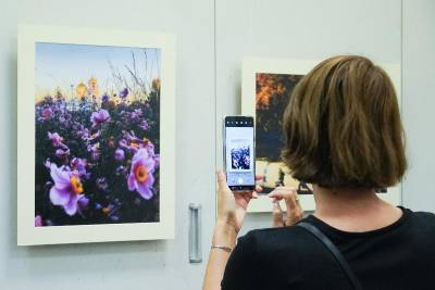 В объективе смартфона: в Воронеже открыли выставку работ, снятых не на фотоаппарат - gorcom36.ru - Воронеж