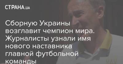 Сергей Ребров - Александр Петраков - Сборную Украины возглавит чемпион мира. Журналисты узнали имя нового наставника главной футбольной команды - strana.ua - Украина - Италия - Эмираты - Абу-Даби