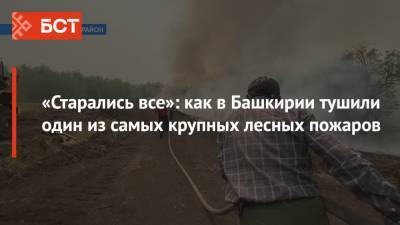 «Старались все»: как в Башкирии тушили один из самых крупных лесных пожаров - bash.news - Башкирия
