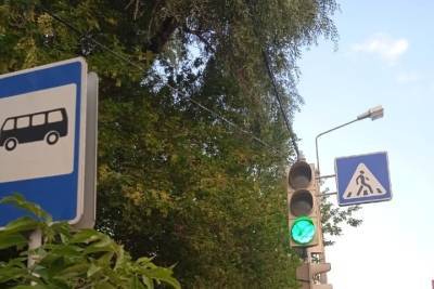 Упавшее дерево устроило «зелёную» улицу на окраине Омска - omsk.mk.ru - Омск