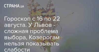 Гороскоп с 16 по 22 августа. У Львов - сложная проблема выбора, Козерогам нельзя показывать слабости - strana.ua - Украина