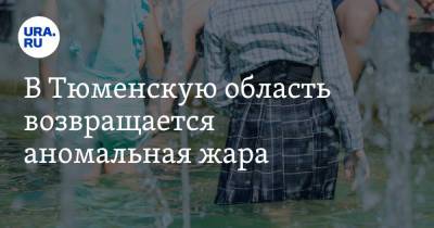 В Тюменскую область возвращается аномальная жара - ura.news - Тюменская обл.