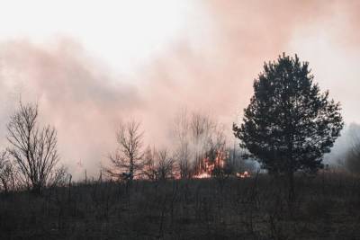 За сутки в Башкирии возникло 6 очагов природных пожаров - ufa.mk.ru - Башкирия