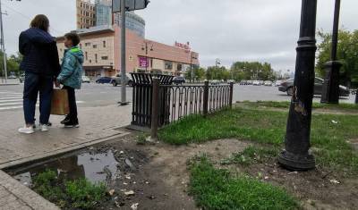 Состояние газонов в Тюмени — пепельница - nashgorod.ru - Тюмень