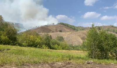 Волонтер рассказал, как на самом деле проходит тушение лесных пожаров в Башкирии - mkset.ru - Башкирия - район Хайбуллинский
