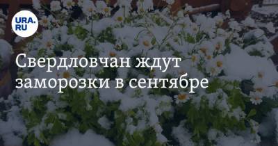 Галина Шепоренко - Свердловчан ждут заморозки в сентябре - ura.news - Свердловская обл.