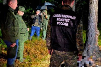 Обгоревшие тела женщины и ребенка нашли в лесу между Петербургом и Выборгом - lenta.ru - Россия - Ленинградская обл. - Санкт-Петербург
