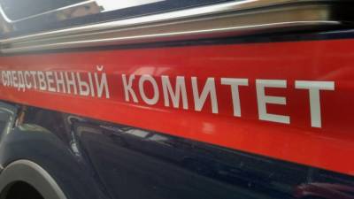 СК предъявил обвинение державшему в подвале 12-летнюю девочку жителю Бийска - inforeactor.ru - Алтайский край - Бийск