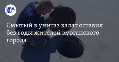 Смытый в унитаз халат оставил без воды жителей курганского города. Фото - ura.news - Курганская обл.