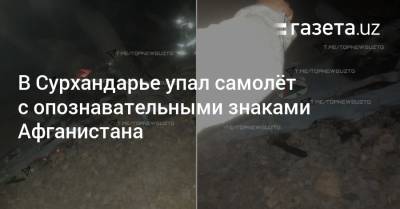 В Сурхандарье упал самолёт с опознавательными знаками Афганистана - gazeta.uz - Узбекистан - Афганистан