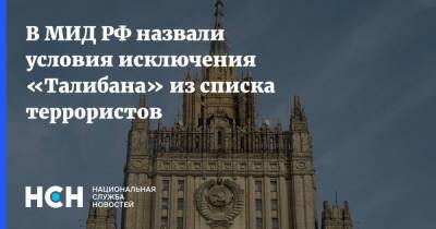 Замир Кабулов - В МИД РФ назвали условия исключения «Талибана» из списка террористов - nsn.fm - Россия - Афганистан - Талибан