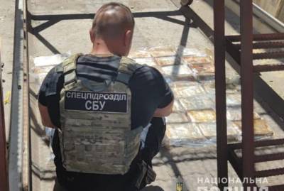 В одесском морском порту в бананах нашли вторую партию кокаина мафии "Ндрангета" - kp.ua - Украина - Одесса - Южный