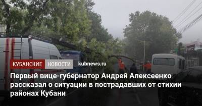 Андрей Алексеенко - Первый вице-губернатор Андрей Алексеенко рассказал о ситуации в пострадавших от стихии районах Кубани - kubnews.ru - Краснодарский край