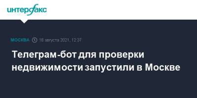 Владимир Ефимов - Телеграм-бот для проверки недвижимости запустили в Москве - interfax.ru - Москва