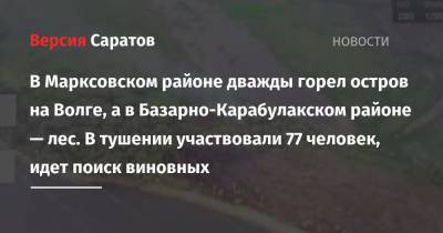 В Марксовском районе дважды горел остров на Волге, а в Базарно-Карабулакском районе — лес. В тушении участвовали 77 человек, идет поиск виновных - nversia.ru - Саратовская обл. - район Марксовский - Экология