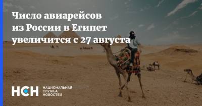 Число авиарейсов из России в Египет увеличится с 27 августа - nsn.fm - Москва - Россия - Египет