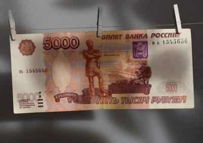 В Спасске пенсионерка присвоила пятитысячную купюру, выпавшую из кармана женщины - ya62.ru - Рязанская обл. - Спасск