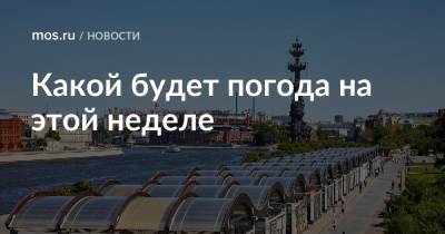 Какой будет погода на этой неделе - mos.ru - Москва
