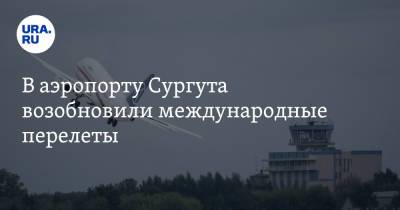 Татьяна Голикова - В аэропорту Сургута возобновили международные перелеты - ura.news - Россия - Южная Корея - Чехия - Сургут - Югра - Танзания