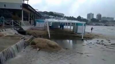 Туристов и жителей восточных районов Крыма просят держаться подальше от прибрежной зоны - 1tv.ru - Крым - Анапа - Новороссийск - Керчь - Геленджик