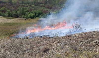 Два новых очага лесных пожаров обнаружили в Бурзянском районе Башкирии - mkset.ru - Башкирия - район Учалинский - район Бурзянский