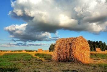 Последняя неделя тепла - vologda-poisk.ru - Вологодская обл.