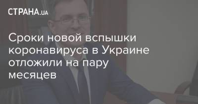 Игорь Кузин - Сроки новой вспышки коронавируса в Украине отложили на пару месяцев - strana.ua - Украина