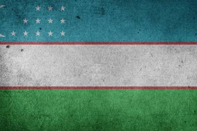 Афганский военный самолет был сбит Узбекистаном - mk.ru - Узбекистан - Афганистан - Сурхандарьинская обл. - район Шерабадский