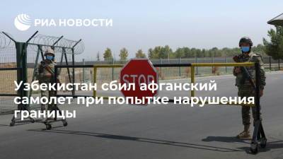 Система ПВО Узбекистана сбила афганский самолет при попытке нарушения границы - ria.ru - Узбекистан - Афганистан - Ташкент - Сурхандарьинская обл. - район Шерабадский
