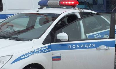 В Ленобласти нашли обгоревшие трупы женщины и ребенка - og.ru - Ленинградская обл. - р-н Выборгский