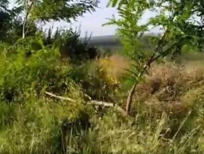 В Молдове очередной акт вандализма на месте боев Великой... - politnavigator.net - Молдавия - Кишинев