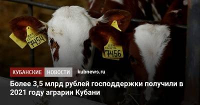 Андрей Коробка - Более 3,5 млрд рублей господдержки получили в 2021 году аграрии Кубани - kubnews.ru - Краснодарский край