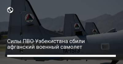 Силы ПВО Узбекистана сбили афганский военный самолет - liga.net - Украина - Узбекистан - Афганистан - Сурхандарьинская обл. - Reuters