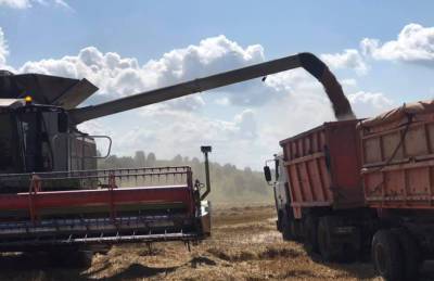 На Хмельнитчине собирают по 7,4 т/га озимой пшеницы - agroportal.ua - Украина - Хмельницкая обл.