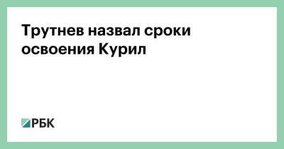 Владимир Путин - Юрий Трутнев - Трутнев назвал сроки освоения Курил - smartmoney.one - Россия - Япония - окр. Дальневосточный
