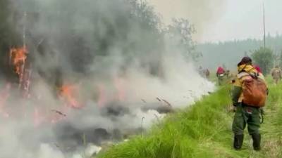 В Якутии несколько тысяч спасателей и волонтеров борются с бушующими природными пожарами - 1tv.ru - респ. Саха - Якутск