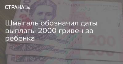 Владимир Зеленский - Денис Шмыгаль - Сергей Шкарлет - Шмыгаль обозначил даты выплаты 2000 гривен за ребенка - strana.ua - Украина