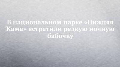 В национальном парке «Нижняя Кама» встретили редкую ночную бабочку - chelny-izvest.ru - респ. Татарстан