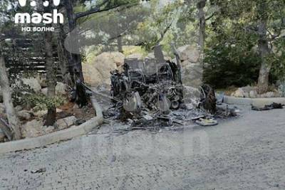 Сергей Глазьев - В Крыму сожгли Rolls-Royсе жены бывшего советника Путина за 31 миллион рублей - lenta.ru - Россия - Крым - Севастополь