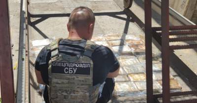 Прятали в бананах: СБУ разоблачила новый кокаиновый наркотрафик итальянской мафии (видео) - focus.ua - Украина - Италия - Одесса - Южный