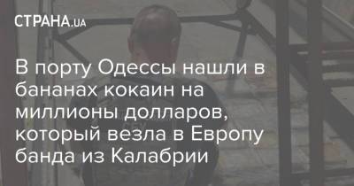 В порту Одессы нашли в бананах кокаин на миллионы долларов, который везла в Европу банда из Калабрии - strana.ua - Украина - Одесская обл. - Одесса - Южный