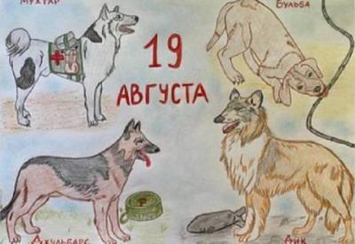 Юная москвичка получила спецприз конкурса «Собаки — герои» - vm.ru - Москва - Россия - США - Казахстан - Белоруссия - Иран - Латвия - Марокко