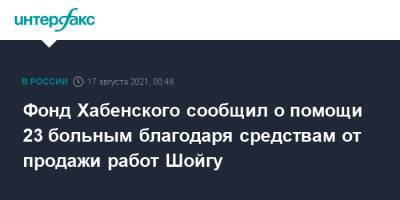 Сергей Шойгу - Константин Хабенский - Фонд Хабенского сообщил о помощи 23 больным благодаря средствам от продажи работ Шойгу - interfax.ru - Москва - Россия