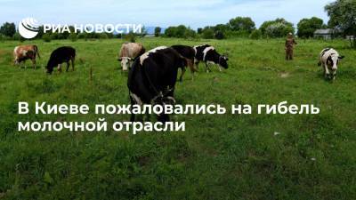 Глава Союза украинского крестьянства Томич пожаловался на смерть молочной отрасли в стране - ria.ru - Москва - Украина