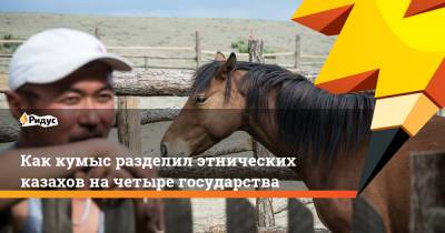 Как кумыс разделил этнических казахов на четыре государства - ridus.ru - Россия - Казахстан - респ. Алтай - Монголия