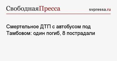 Смертельное ДТП с автобусом под Тамбовом: один погиб, 8 пострадали - svpressa.ru - Тамбов - Тамбовская обл. - Ставрополье